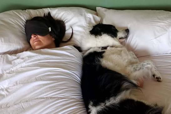 Common Sleep Disruptors & Quick Fixes — The Complete Guide