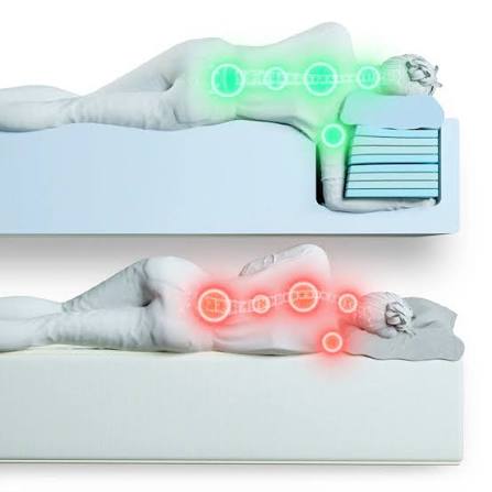 Sleep Positions & Body Support — The Complete Guide